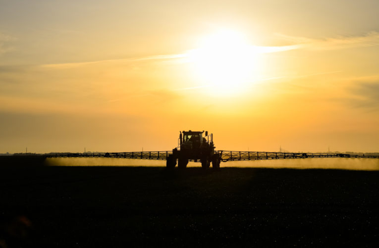tractor spraying paraquat herbicide on a wheat field at sunset
