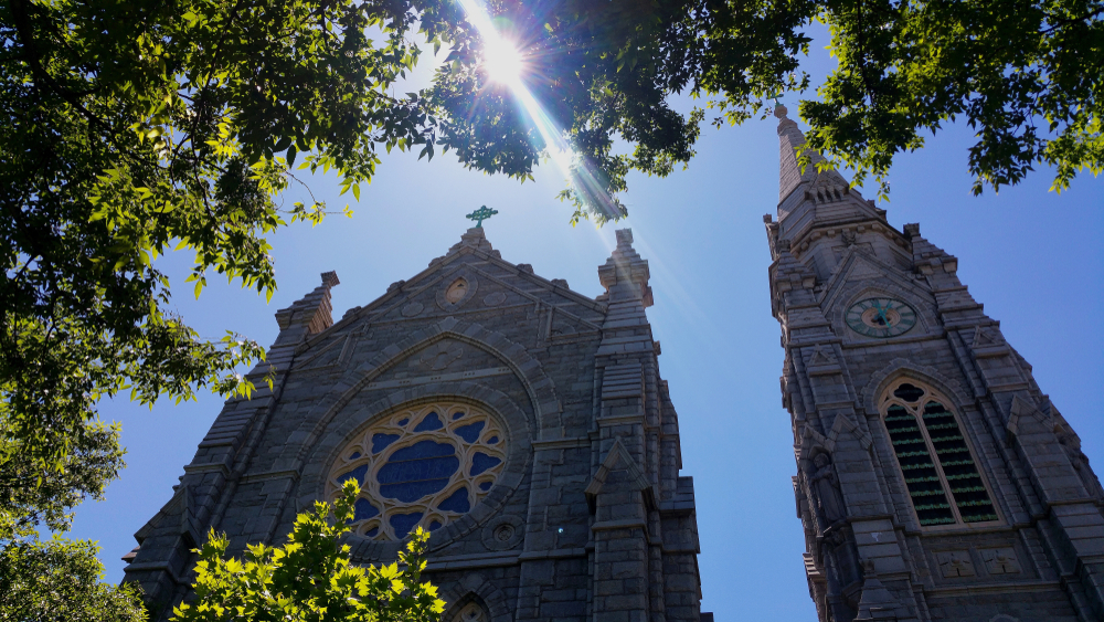 view of a catholic cathedral with the sun shining through trees above