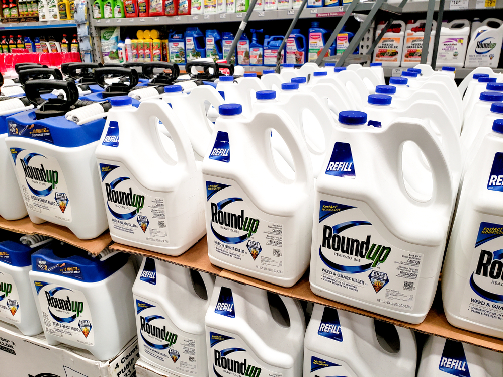 A view of a display of several containers of Roundup weed killer at a local home improvement store.