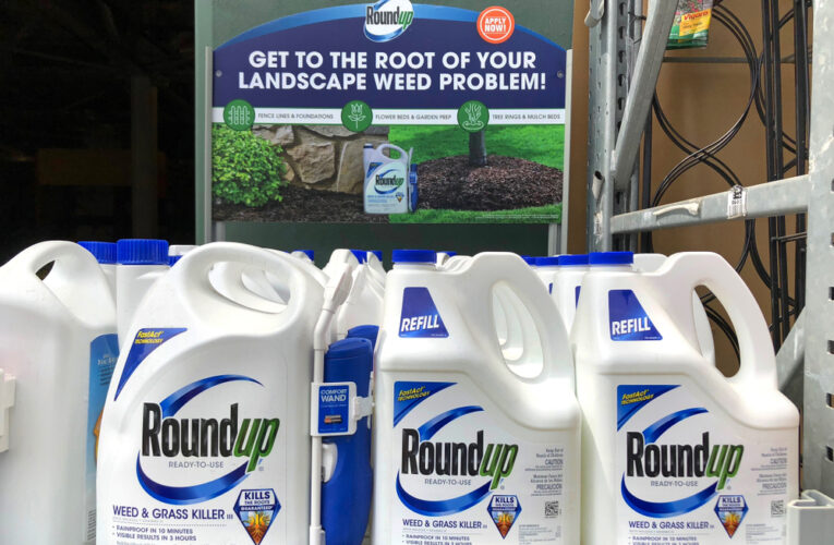 roundup weed and grass killer display at garden store