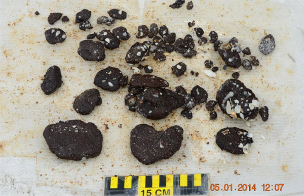 Tar Ball Pollution from BP Deepwater Horizon Oil Spill Found in 2014