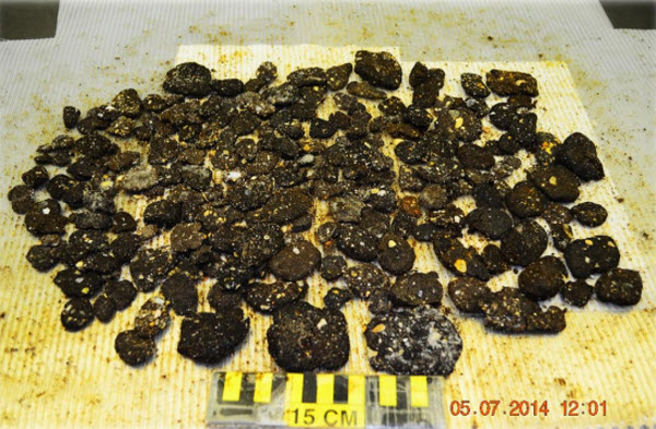 Tar Ball Pollution from BP Deepwater Horizon Oil Spill Found in 2014