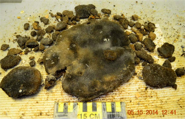 Tar Ball Pollution from BP Deepwater Horizon Oil Spill Found in 2014