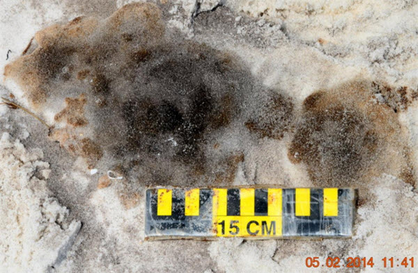 Tar Ball Pollution from BP Deepwater Horizon Oil Spill Found in 2014