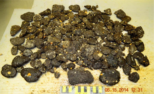 Tar Ball Pollution from BP Deepwater Horizon Oil Spill Found in 2014