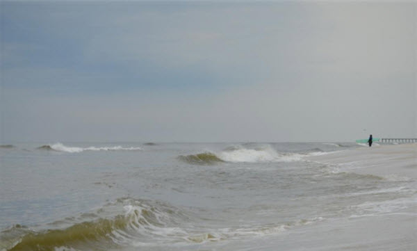 Tar Ball Pollution from BP Deepwater Horizon Oil Spill Found in 2014