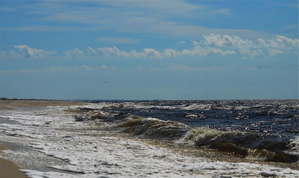 Tar Ball Pollution from BP Deepwater Horizon Oil Spill Found in 2014