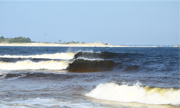 Tar Ball Pollution from BP Deepwater Horizon Oil Spill Found in 2014