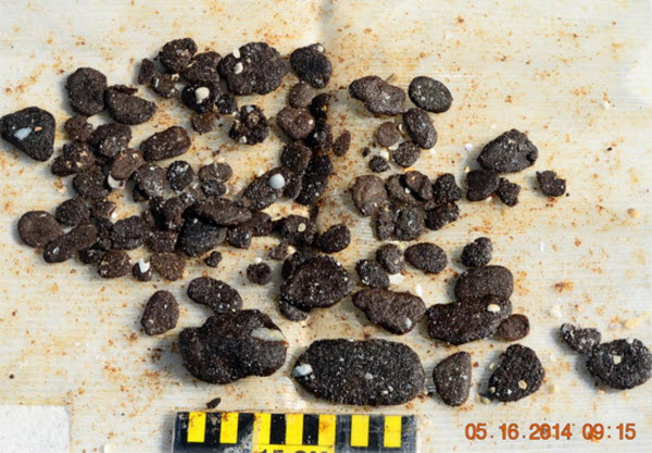 Tar Ball Pollution from BP Deepwater Horizon Oil Spill Found in 2014