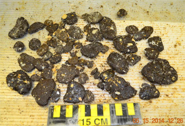 Tar Ball Pollution from BP Deepwater Horizon Oil Spill Found in 2014